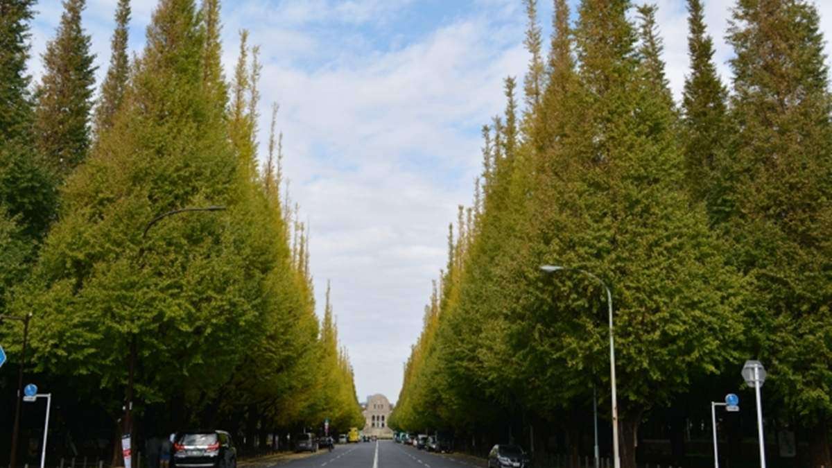 樹木伐採は年明け以降に　神宮外苑再開発事業―東京