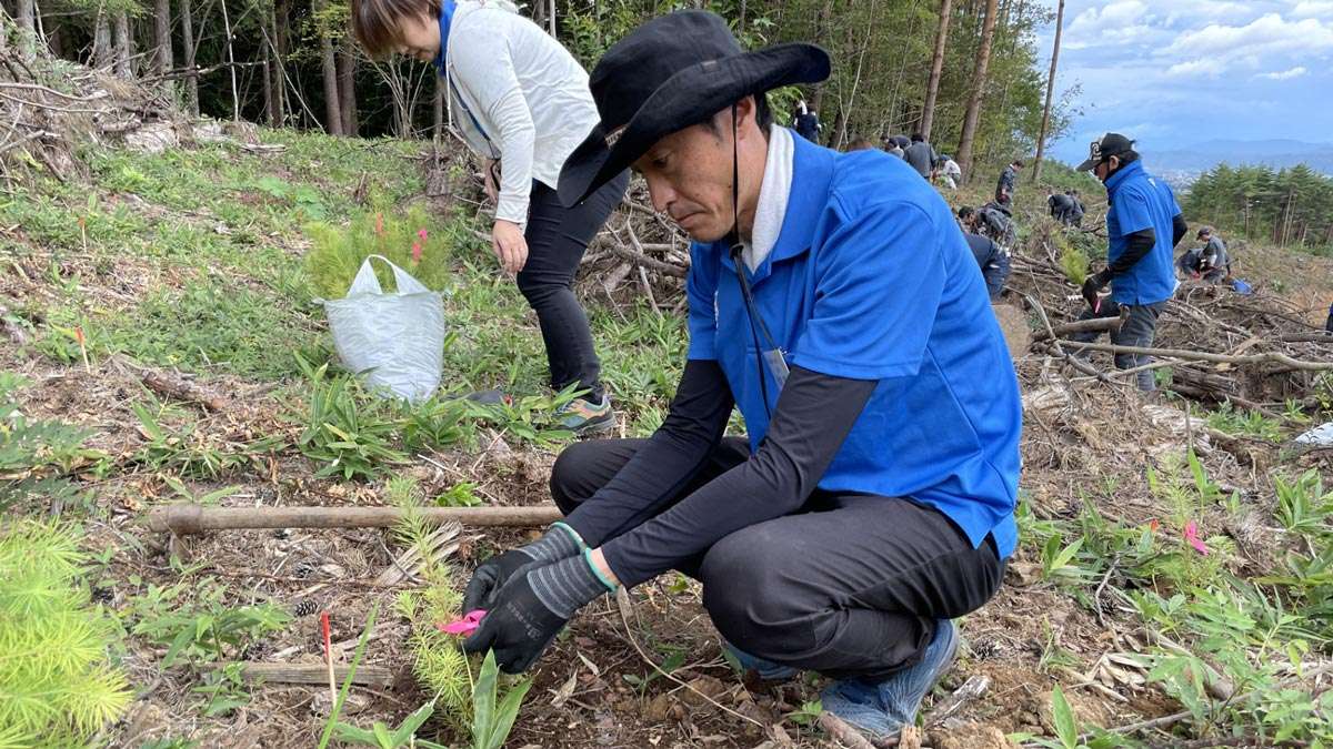 綿半建材、循環型の森林を目指し植樹祭　2400本の苗木を植栽